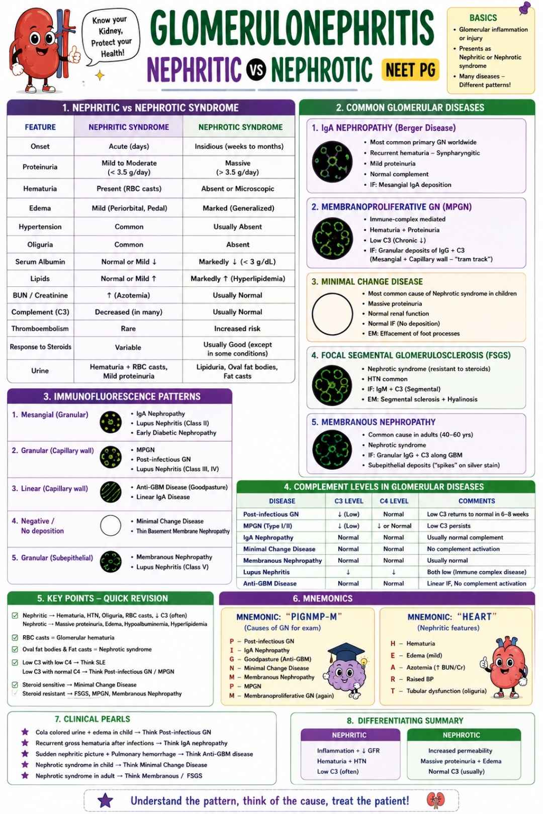 Neet PG Sample (2)