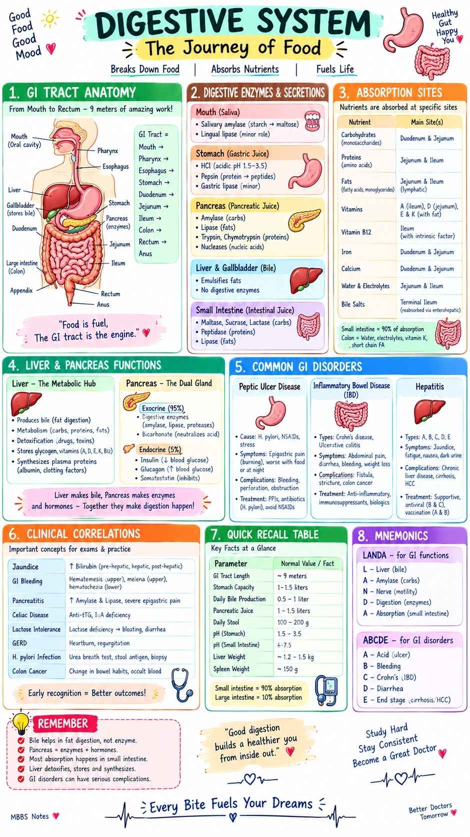 MBBS_Notes_Sample_4