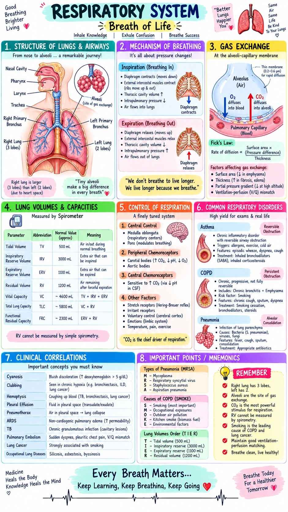 MBBS_Notes_Sample_5